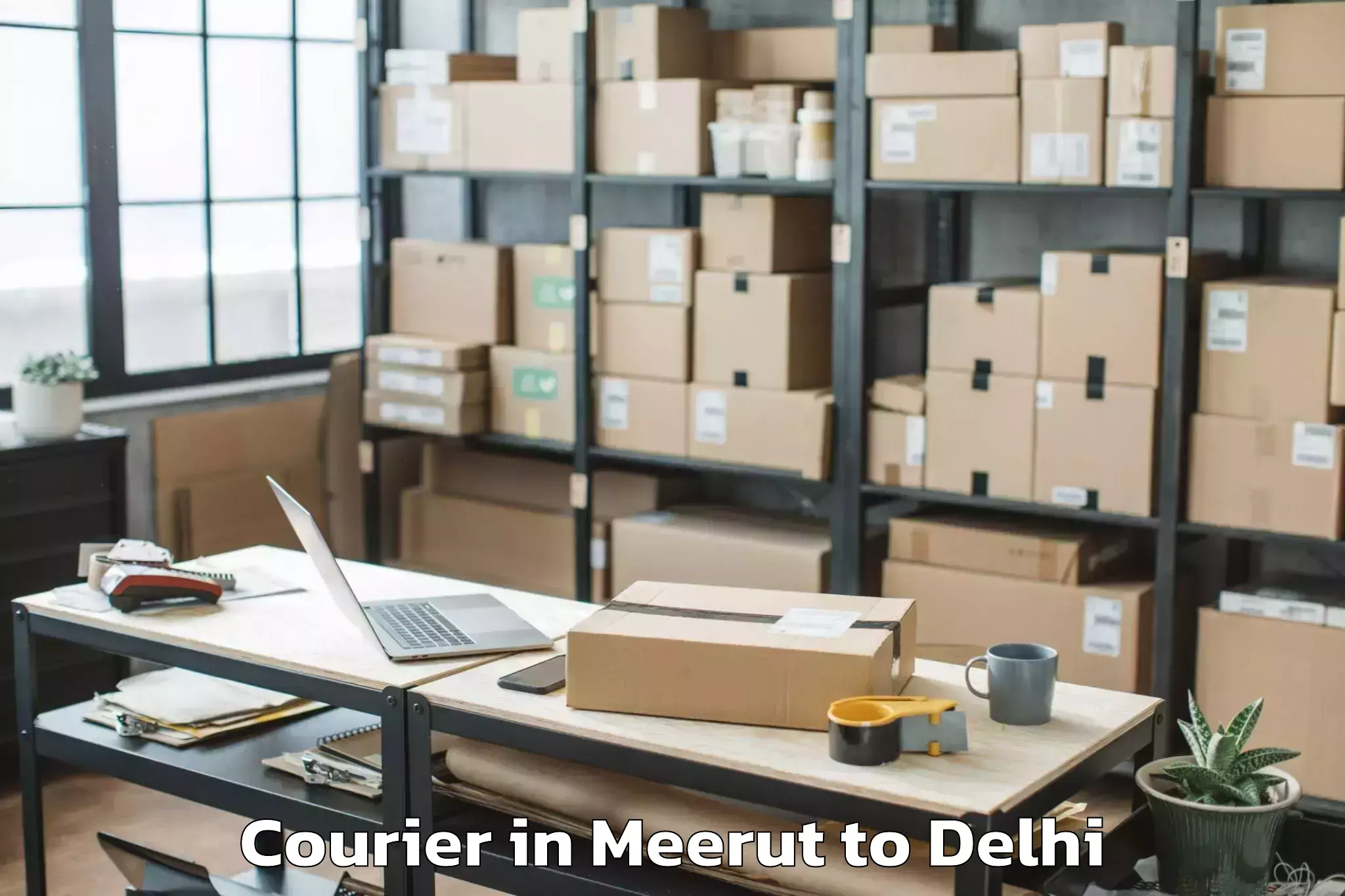 Top Meerut to Alipur Courier Available